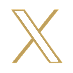 Follow Animo on X